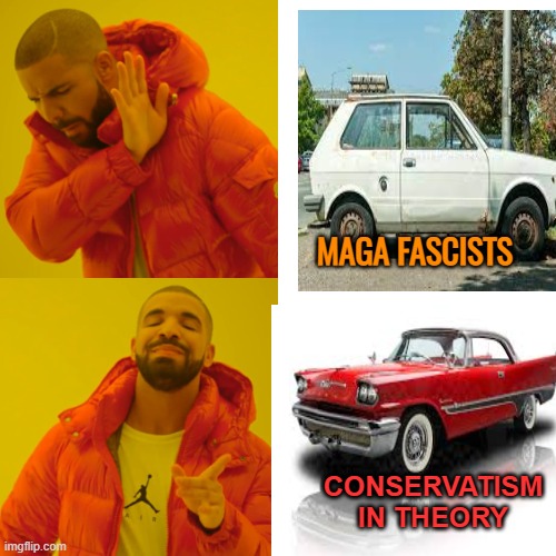 MAGA FASCISTS CONSERVATISM IN THEORY | made w/ Imgflip meme maker