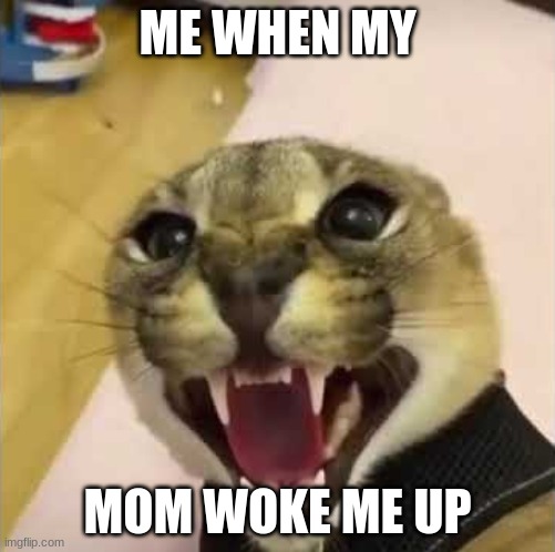 Angry Floppa | ME WHEN MY; MOM WOKE ME UP | image tagged in angry floppa | made w/ Imgflip meme maker