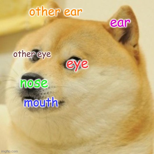 anatomy of doge | other ear; ear; other eye; eye; nose; mouth | image tagged in memes,doge | made w/ Imgflip meme maker