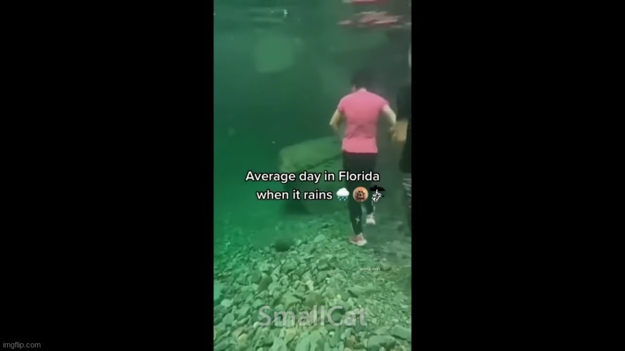 shi looks like mario kart | made w/ Imgflip meme maker