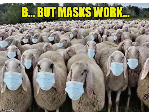 Sheeple | B... BUT MASKS WORK... | image tagged in sheeple | made w/ Imgflip meme maker