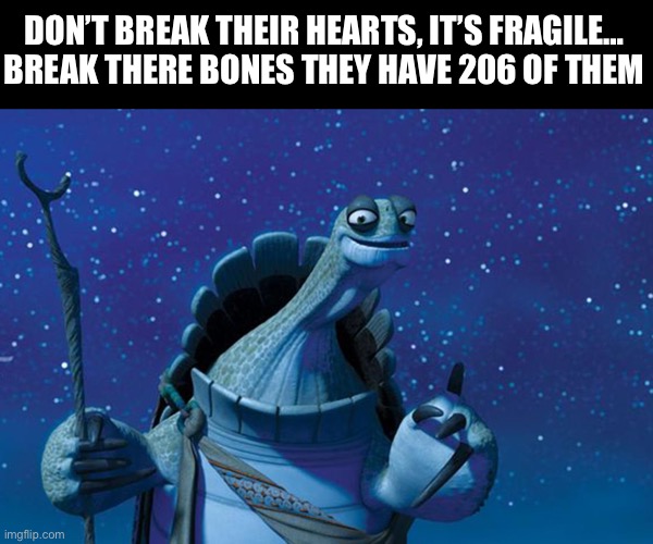 Hearts and bones | DON’T BREAK THEIR HEARTS, IT’S FRAGILE… BREAK THERE BONES THEY HAVE 206 OF THEM | image tagged in master oogway,memes,funny memes,heart | made w/ Imgflip meme maker