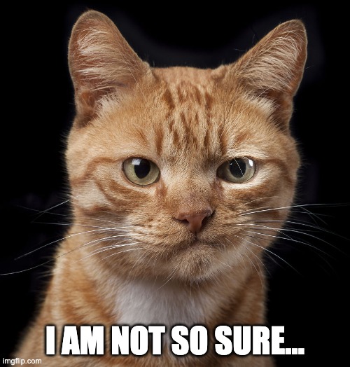 Sceptical Cat | I AM NOT SO SURE... | image tagged in sceptical cat | made w/ Imgflip meme maker