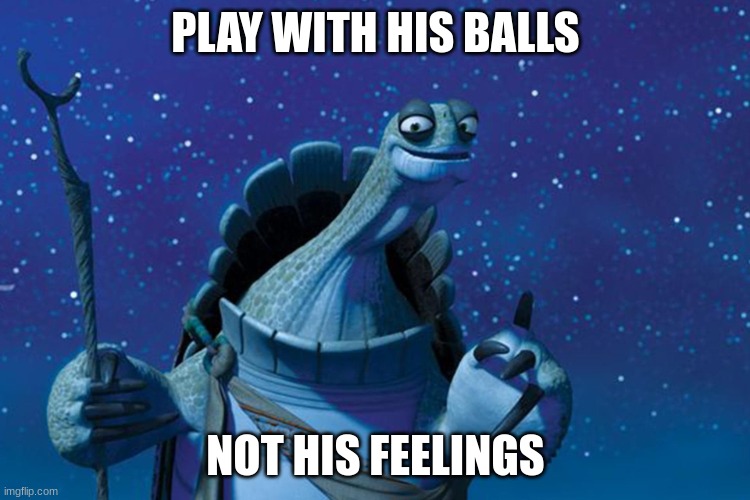 Master Oogway | PLAY WITH HIS BALLS; NOT HIS FEELINGS | image tagged in master oogway | made w/ Imgflip meme maker