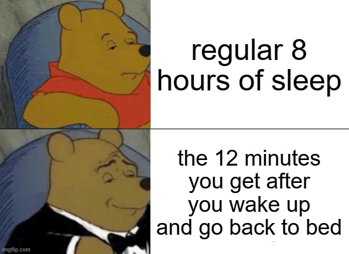 Tuxedo Winnie The Pooh Meme | regular 8 hours of sleep; the 12 minutes you get after you wake up and go back to bed | image tagged in memes,tuxedo winnie the pooh | made w/ Imgflip meme maker