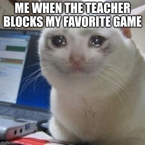 cry | ME WHEN THE TEACHER BLOCKS MY FAVORITE GAME | image tagged in crying cat | made w/ Imgflip meme maker