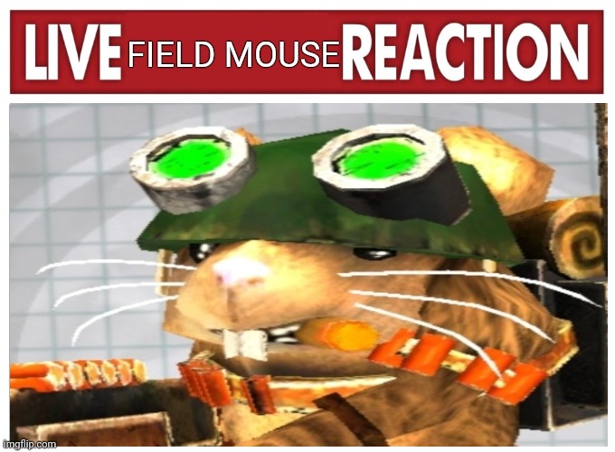Live field mouse reaction | FIELD MOUSE | image tagged in mouse | made w/ Imgflip meme maker
