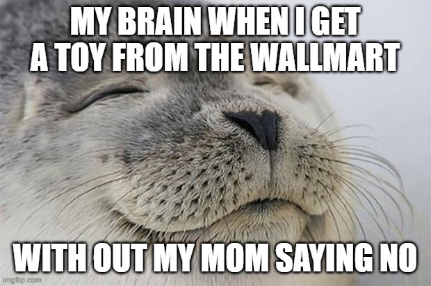 yay | MY BRAIN WHEN I GET A TOY FROM THE WALLMART; WITH OUT MY MOM SAYING NO | image tagged in memes,satisfied seal,seal,happy seal,seals,seal of approval | made w/ Imgflip meme maker