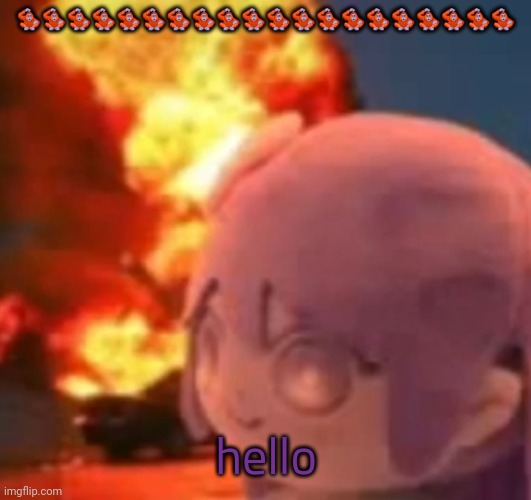 i feel like shit☠️ | 🦧🦧🦧🦧🦧🦧🦧🦧🦧🦧🦧🦧🦧🦧🦧🦧🦧🦧🦧🦧; hello | image tagged in msmg | made w/ Imgflip meme maker