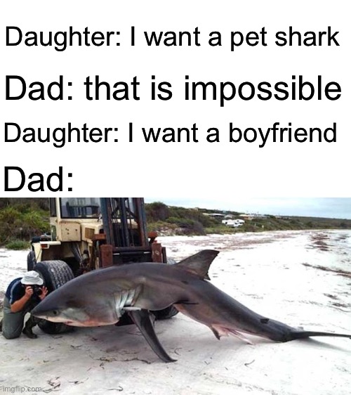 Shark | Daughter: I want a pet shark; Dad: that is impossible; Daughter: I want a boyfriend; Dad: | image tagged in girl,dad,shark,boyfriend,pets | made w/ Imgflip meme maker