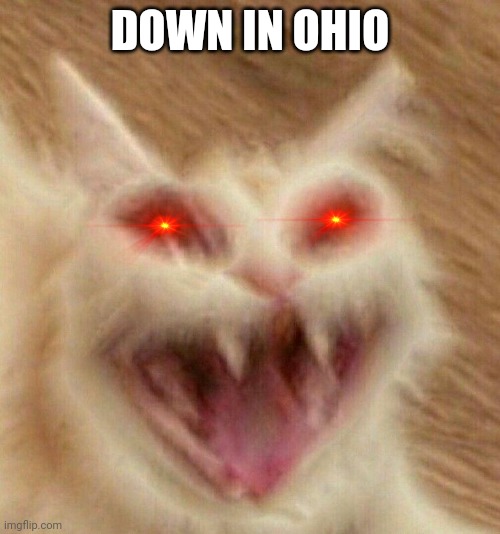 DOWN IN OHIO | image tagged in ohio | made w/ Imgflip meme maker