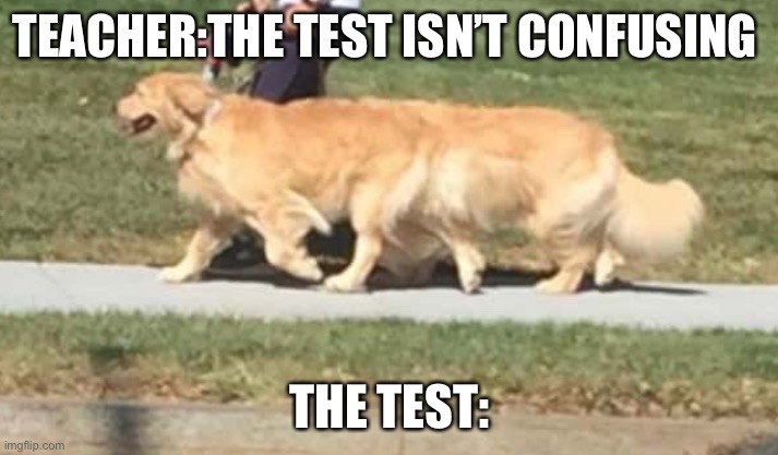 Really? | TEACHER:THE TEST ISN’T CONFUSING; THE TEST: | image tagged in memes,optical illusion | made w/ Imgflip meme maker