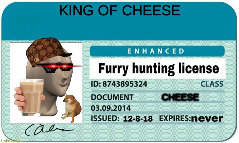 kingofcheese | KING OF CHEESE; CHEESE | image tagged in furry hunting license | made w/ Imgflip meme maker