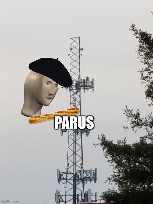 PARUS | image tagged in photography | made w/ Imgflip meme maker