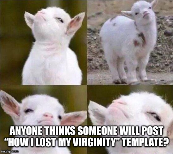 :troll: | ANYONE THINKS SOMEONE WILL POST “HOW I LOST MY VIRGINITY” TEMPLATE? | image tagged in smug goat | made w/ Imgflip meme maker