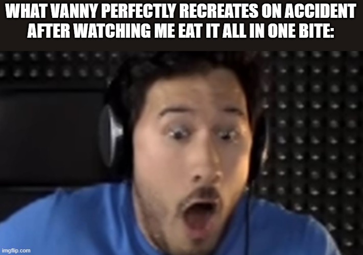 WHAT VANNY PERFECTLY RECREATES ON ACCIDENT AFTER WATCHING ME EAT IT ALL IN ONE BITE: | made w/ Imgflip meme maker