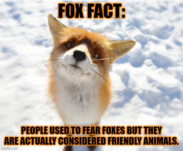 That is an important fox fact | FOX FACT:; PEOPLE USED TO FEAR FOXES BUT THEY ARE ACTUALLY CONSIDERED FRIENDLY ANIMALS. | image tagged in what does the fox say | made w/ Imgflip meme maker