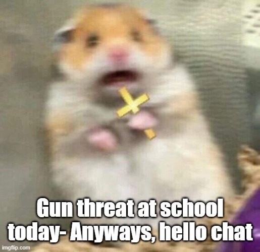 Scared Hamster with Cross | Gun threat at school today- Anyways, hello chat | image tagged in scared hamster with cross | made w/ Imgflip meme maker