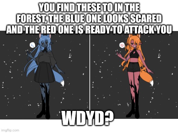Rules in tags | YOU FIND THESE TO IN THE FOREST, THE BLUE ONE LOOKS SCARED AND THE RED ONE IS READY TO ATTACK YOU; WDYD? | image tagged in no joke,no bambi,romance allowe,girl preferred | made w/ Imgflip meme maker