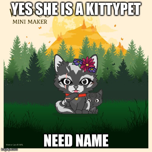 neeeeed anem shes a kittypet | YES SHE IS A KITTYPET; NEED NAME | image tagged in warrior cats,oh wow are you actually reading these tags,hehehe | made w/ Imgflip meme maker
