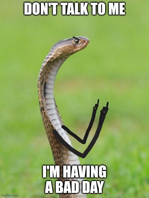 DON'T TALK TO ME; I'M HAVING A BAD DAY | image tagged in im a snek | made w/ Imgflip meme maker