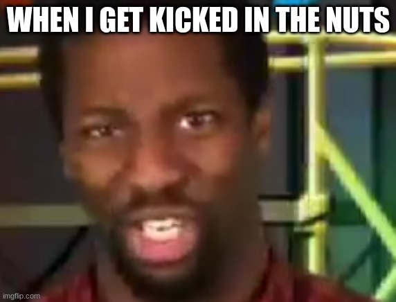 funny | WHEN I GET KICKED IN THE NUTS | image tagged in funny memes | made w/ Imgflip meme maker
