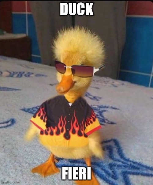 DUCK; FIERI | made w/ Imgflip meme maker