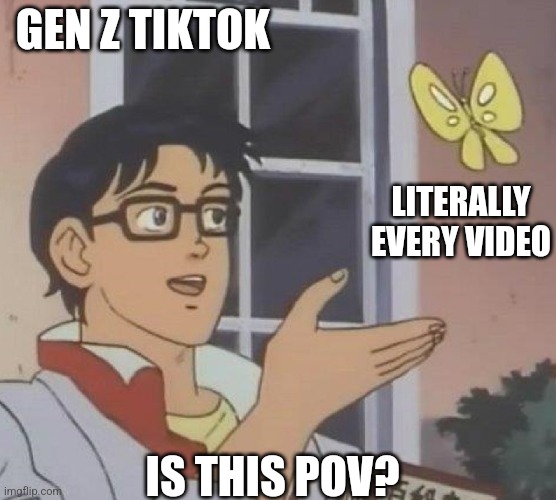 is this butterfly | GEN Z TIKTOK; LITERALLY EVERY VIDEO; IS THIS POV? | image tagged in is this butterfly | made w/ Imgflip meme maker