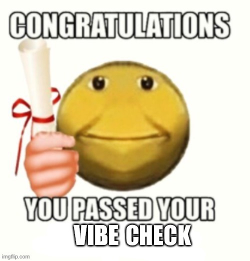 You have passed your based check | VIBE | image tagged in you have passed your based check | made w/ Imgflip meme maker