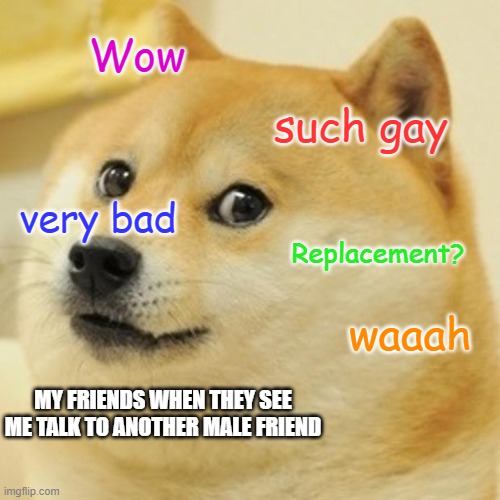 Doge | Wow; such gay; very bad; Replacement? waaah; MY FRIENDS WHEN THEY SEE ME TALK TO ANOTHER MALE FRIEND | image tagged in memes,doge | made w/ Imgflip meme maker