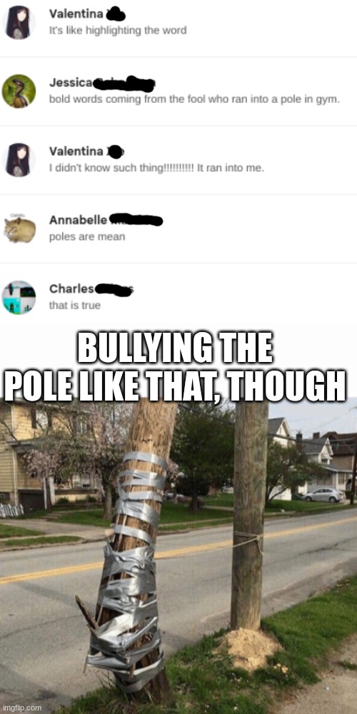 BULLYING THE POLE LIKE THAT, THOUGH | image tagged in pole held with duct tape | made w/ Imgflip meme maker