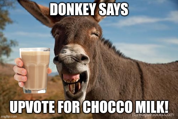 I love chocco milk! | DONKEY SAYS; UPVOTE FOR CHOCCO MILK! | image tagged in donkey jackass braying | made w/ Imgflip meme maker