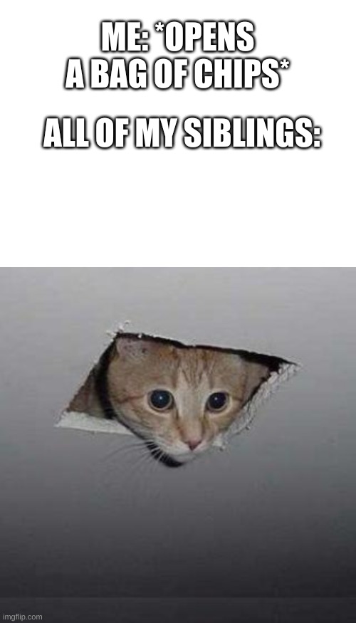 no snacks are safe | ME: *OPENS A BAG OF CHIPS*; ALL OF MY SIBLINGS: | image tagged in memes,ceiling cat | made w/ Imgflip meme maker