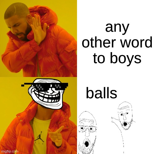 hi | any other word to boys; balls | image tagged in memes,drake hotline bling | made w/ Imgflip meme maker