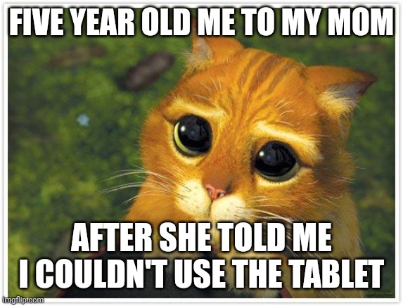 Shrek Cat | FIVE YEAR OLD ME TO MY MOM; AFTER SHE TOLD ME I COULDN'T USE THE TABLET | image tagged in memes,shrek cat | made w/ Imgflip meme maker