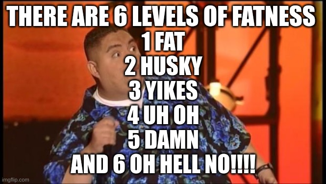 Gabriel Iglesias Dayum | THERE ARE 6 LEVELS OF FATNESS; 1 FAT
2 HUSKY
3 YIKES
4 UH OH
5 DAMN
AND 6 OH HELL NO!!!! | image tagged in gabriel iglesias dayum | made w/ Imgflip meme maker