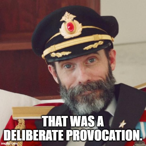 Captain Obvious | THAT WAS A DELIBERATE PROVOCATION. | image tagged in captain obvious | made w/ Imgflip meme maker