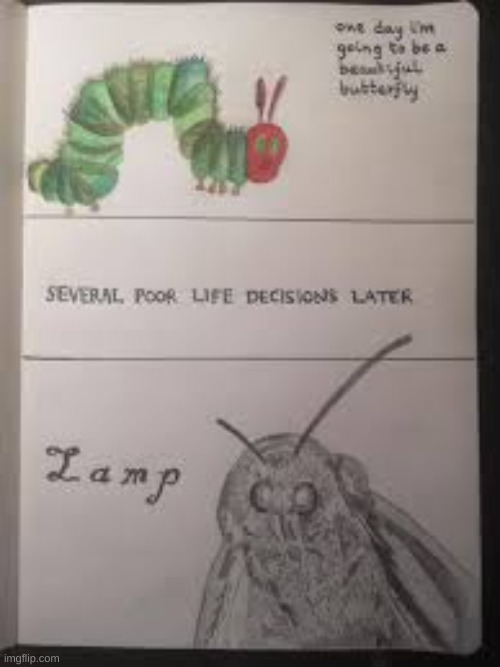 hungey little moth | image tagged in moth | made w/ Imgflip meme maker