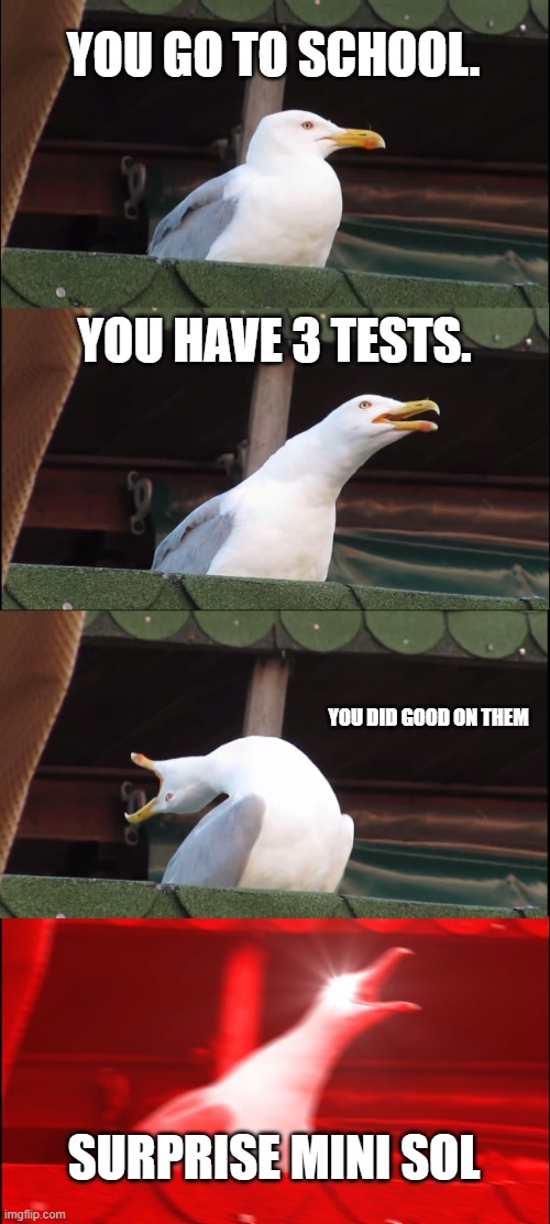 Inhaling Seagull | YOU GO TO SCHOOL. YOU HAVE 3 TESTS. YOU DID GOOD ON THEM; SURPRISE MINI SOL | image tagged in memes,inhaling seagull | made w/ Imgflip meme maker