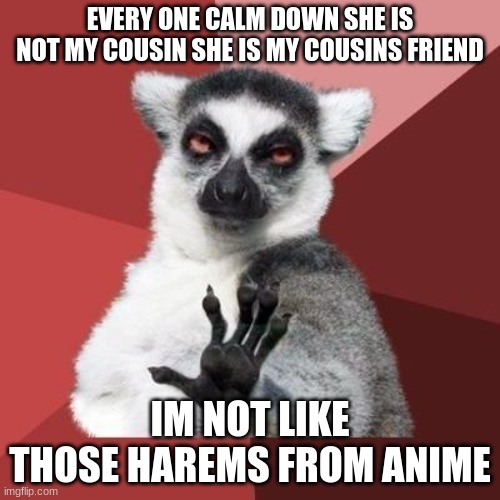 SHE WAS NOT MY COUSIN | EVERY ONE CALM DOWN SHE IS NOT MY COUSIN SHE IS MY COUSINS FRIEND; IM NOT LIKE THOSE HAREMS FROM ANIME | image tagged in calm down | made w/ Imgflip meme maker