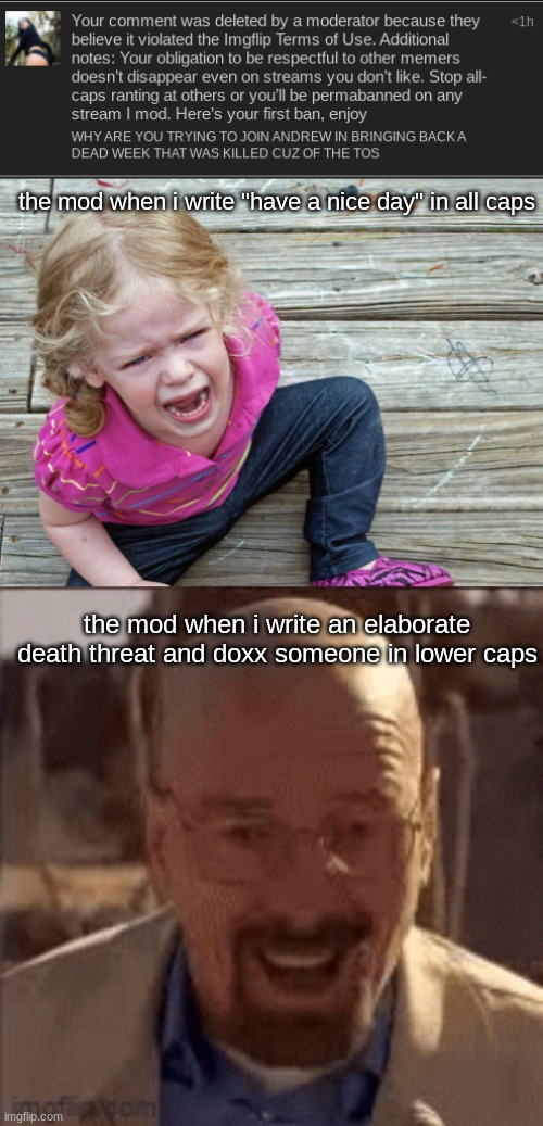 that's a bs reason to ban me | the mod when i write "have a nice day" in all caps; the mod when i write an elaborate death threat and doxx someone in lower caps | image tagged in baby hissy fit,happy walter white | made w/ Imgflip meme maker