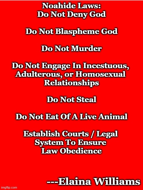 Red Background | Noahide Laws:

Do Not Deny God
 
Do Not Blaspheme God
 
Do Not Murder
 
Do Not Engage In Incestuous, 
Adulterous, or Homosexual 
Relationships
 
Do Not Steal
 
Do Not Eat Of A Live Animal
 
Establish Courts / Legal 
System To Ensure 
Law Obedience; ---Elaina Williams | image tagged in red background | made w/ Imgflip meme maker