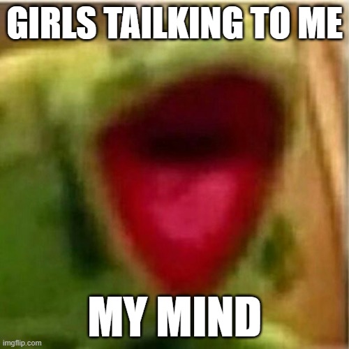 AHHHHHHHHHHHHH | GIRLS TAILKING TO ME; MY MIND | image tagged in ahhhhhhhhhhhhh | made w/ Imgflip meme maker