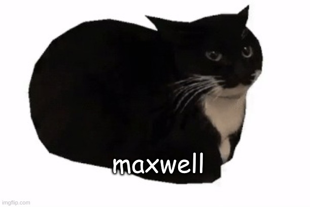 maxwell the cat | maxwell | image tagged in maxwell the cat | made w/ Imgflip meme maker