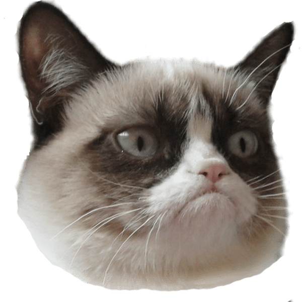 Grumpy Cat Face Blank Meme Template