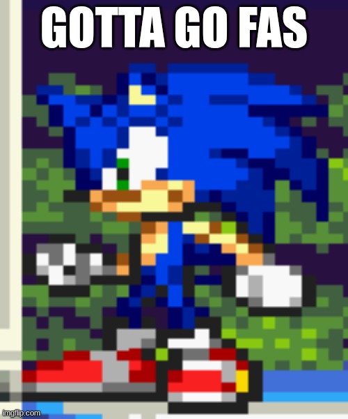 am i the only one who thinks Sonic is hot? | GOTTA GO FAS | image tagged in sonic the hedgehog,sonic advance | made w/ Imgflip meme maker