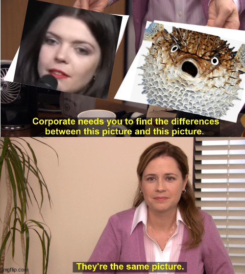 Jsem jediný?? | image tagged in memes,they're the same picture | made w/ Imgflip meme maker