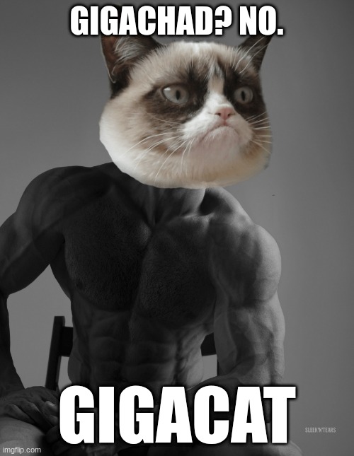 Gigacat. | GIGACHAD? NO. GIGACAT | image tagged in giga chad | made w/ Imgflip meme maker