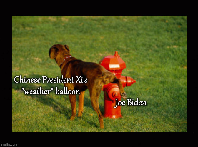 Calling a spade, a spade ... | Chinese President Xi's
"weather" balloon; Joe Biden | image tagged in xi,biden,weather balloon | made w/ Imgflip meme maker