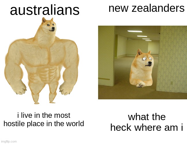 australians; new zealanders; i live in the most hostile place in the world; what the heck where am i | made w/ Imgflip meme maker